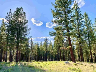 This beautiful, forested homesite with access to Forest Service on Nakoma Golf Resort in California - for sale on GolfHomes.com, golf home, golf lot