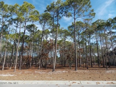 If you have been waiting for the perfect lot..it has arrived.

 on Members Club At St. James Plantation in North Carolina - for sale on GolfHomes.com, golf home, golf lot