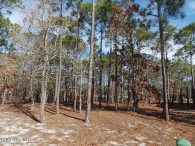 If you have been waiting for the perfect lot..it has arrived.

 on Members Club At St. James Plantation in North Carolina - for sale on GolfHomes.com, golf home, golf lot
