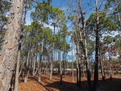 If you have been waiting for the perfect lot..it has arrived.

 on Members Club At St. James Plantation in North Carolina - for sale on GolfHomes.com, golf home, golf lot