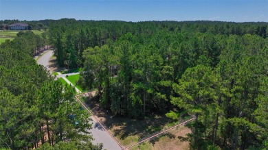 Under contract-accepting backup offers. Almost 2/3 of an acre on Southern Hills Plantation Club in Florida - for sale on GolfHomes.com, golf home, golf lot