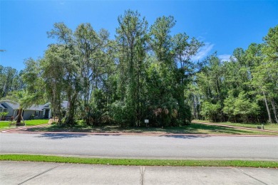 Under contract-accepting backup offers. Almost 2/3 of an acre on Southern Hills Plantation Club in Florida - for sale on GolfHomes.com, golf home, golf lot