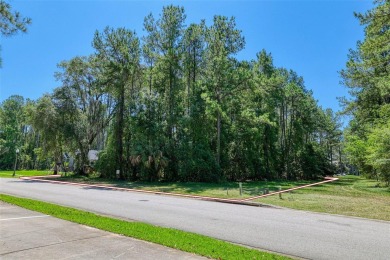 Under contract-accepting backup offers. Almost 2/3 of an acre on Southern Hills Plantation Club in Florida - for sale on GolfHomes.com, golf home, golf lot