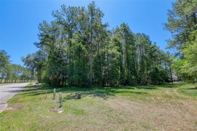 Under contract-accepting backup offers. Almost 2/3 of an acre on Southern Hills Plantation Club in Florida - for sale on GolfHomes.com, golf home, golf lot