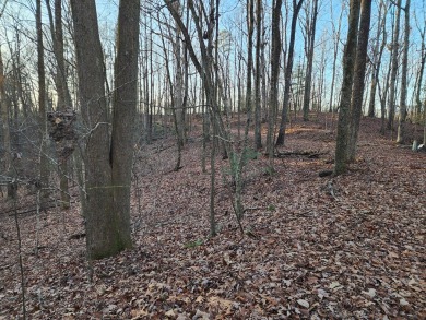 Gorgeous Cul-de-Sac Private Lot with Mountain Views in Buckhorn on White Path Golf Club in Georgia - for sale on GolfHomes.com, golf home, golf lot