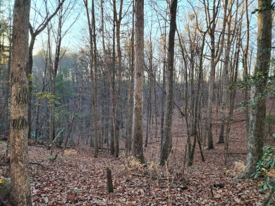 Gorgeous Cul-de-Sac Private Lot with Mountain Views in Buckhorn on White Path Golf Club in Georgia - for sale on GolfHomes.com, golf home, golf lot