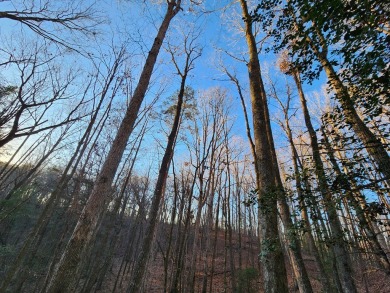 Gorgeous Cul-de-Sac Private Lot with Mountain Views in Buckhorn on White Path Golf Club in Georgia - for sale on GolfHomes.com, golf home, golf lot