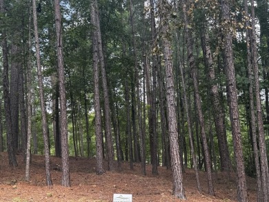 **For Sale: Serene Lakeside Lot with Golf Course Views**

 on Monticello Golf Club At Savannah Lakes in South Carolina - for sale on GolfHomes.com, golf home, golf lot