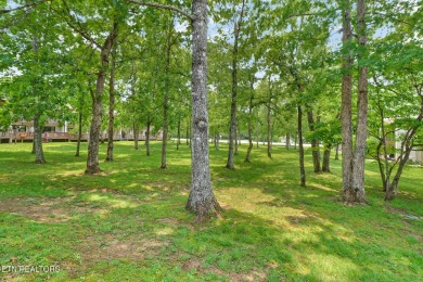 Whether you're looking for a year-round home, a seasonal home or on Stonehenge Golf Course in Tennessee - for sale on GolfHomes.com, golf home, golf lot