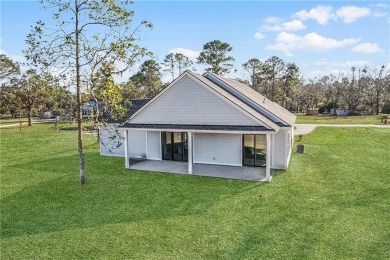 MOVE-IN READY NEW CONSTRUCTION, JUST IN TIME FOR THE SUMMER! NO on Sapelo Hammock Golf Club in Georgia - for sale on GolfHomes.com, golf home, golf lot