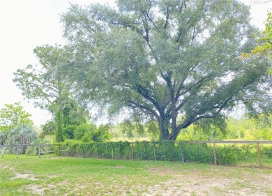 HUGE 2,590 sf Brick two-story home overlooking the old WILLISTON on Williston Highlands Golf and Country Club in Florida - for sale on GolfHomes.com, golf home, golf lot