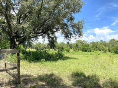 BUYERS FINANCING FELL THROUGH....HUGE 2,590 sf Brick two-story on Williston Highlands Golf and Country Club in Florida - for sale on GolfHomes.com, golf home, golf lot
