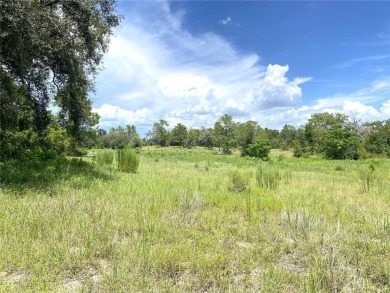 BUYERS FINANCING FELL THROUGH....HUGE 2,590 sf Brick two-story on Williston Highlands Golf and Country Club in Florida - for sale on GolfHomes.com, golf home, golf lot