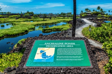 Resort life is waiting for you in the Shores at Waikoloa in this on Waikoloa Beach Resort Golf Course in Hawaii - for sale on GolfHomes.com, golf home, golf lot