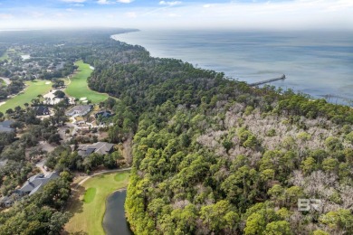 ONE OF THE BEST VALUES IN THE PENINSULA GOLF COURSE COMMUNITY on Peninsula Golf and Racquet Club in Alabama - for sale on GolfHomes.com, golf home, golf lot