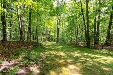 CHARMING YEAR-ROUND HOME ON 3.74 ACRES OVERLOOKING THE THOUSAND on The Thousand Island Country Club in New York - for sale on GolfHomes.com, golf home, golf lot