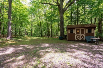 CHARMING YEAR-ROUND HOME ON 3.74 ACRES OVERLOOKING THE THOUSAND on The Thousand Island Country Club in New York - for sale on GolfHomes.com, golf home, golf lot