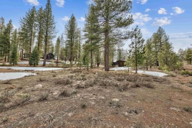 Available once again! Incredible opportunity in Lahontan! This on Lahontan Golf Club - Lahontan in California - for sale on GolfHomes.com, golf home, golf lot