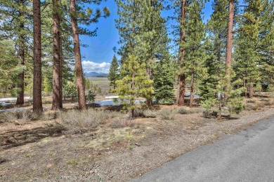 Available once again! Incredible opportunity in Lahontan! This on Lahontan Golf Club - Lahontan in California - for sale on GolfHomes.com, golf home, golf lot