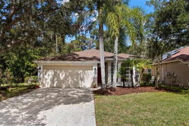 Discover the perfect blend of comfort, privacy, and resort-style on East Lake Woodlands Country Club in Florida - for sale on GolfHomes.com, golf home, golf lot