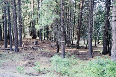 Beautiful level lot located in Lake Almanor West. Perfectly on Lake Almanor West Golf Course in California - for sale on GolfHomes.com, golf home, golf lot