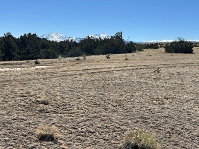 Here's your chance to OWN 40 ACRES in Southern Colorado amongst on Walsenburg Golf Club in Colorado - for sale on GolfHomes.com, golf home, golf lot