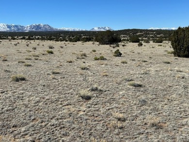 Here's your chance to OWN 40 ACRES in Southern Colorado amongst on Walsenburg Golf Club in Colorado - for sale on GolfHomes.com, golf home, golf lot