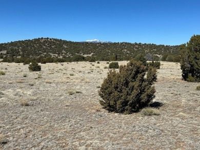Here's your chance to OWN 40 ACRES in Southern Colorado amongst on Walsenburg Golf Club in Colorado - for sale on GolfHomes.com, golf home, golf lot