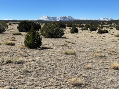 Here's your chance to OWN 40 ACRES in Southern Colorado amongst on Walsenburg Golf Club in Colorado - for sale on GolfHomes.com, golf home, golf lot