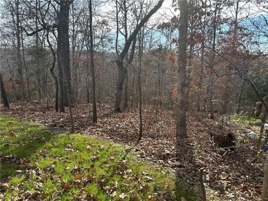 Great building lot. This one will need to be hooked to sewer on Bella Vista - Metfield Golf Complex and Country Club in Arkansas - for sale on GolfHomes.com, golf home, golf lot