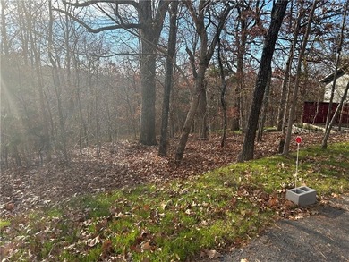 Great building lot. This one will need to be hooked to sewer on Bella Vista - Metfield Golf Complex and Country Club in Arkansas - for sale on GolfHomes.com, golf home, golf lot