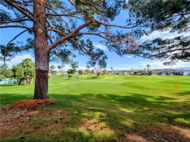 This is a rare beauty. The entire home was recently redone. Roof on Riverview Golf Course in Arizona - for sale on GolfHomes.com, golf home, golf lot