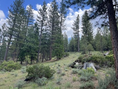 WATCH THE SKY CHANGE COLORS IN FRONT OF YOUR EYES from your on Nakoma Golf Resort in California - for sale on GolfHomes.com, golf home, golf lot