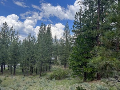 WATCH THE SKY CHANGE COLORS IN FRONT OF YOUR EYES from your on Nakoma Golf Resort in California - for sale on GolfHomes.com, golf home, golf lot