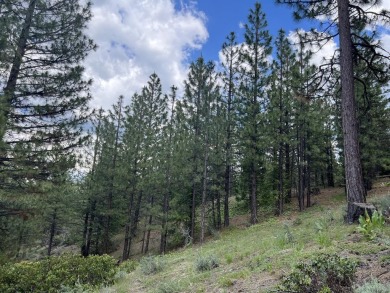 WATCH THE SKY CHANGE COLORS IN FRONT OF YOUR EYES from your on Nakoma Golf Resort in California - for sale on GolfHomes.com, golf home, golf lot