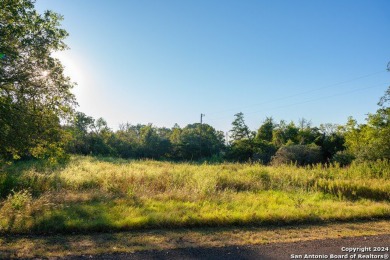 Discover the perfect canvas for your dream home in the desirable on ColoVista Country Club in Texas - for sale on GolfHomes.com, golf home, golf lot