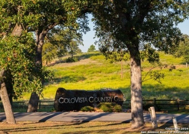 Discover the perfect canvas for your dream home in the desirable on ColoVista Country Club in Texas - for sale on GolfHomes.com, golf home, golf lot