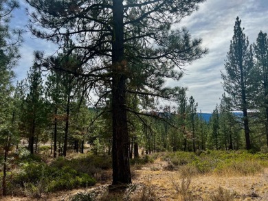 WOW, ALMOST TWO AND HALF ACRES...away from the hustle but yet on Nakoma Golf Resort in California - for sale on GolfHomes.com, golf home, golf lot