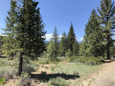WOW, ALMOST TWO AND HALF ACRES...away from the hustle but yet on Nakoma Golf Resort in California - for sale on GolfHomes.com, golf home, golf lot