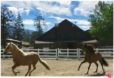 COMMERCIAL LOT: SELLER MAY CONSIDER CARRYING PAPER. This is a on Pine Mountain Club in California - for sale on GolfHomes.com, golf home, golf lot