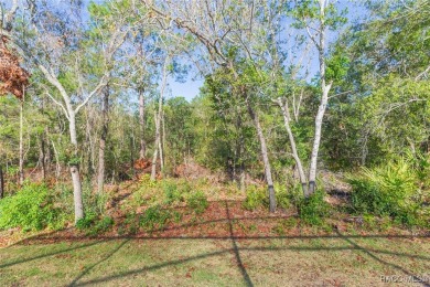 ***SELLER CREDIT UP TO $9,250 TO GO TOWARDS BUYER'S CLOSING on Sugarmill Woods Golf and Country Club in Florida - for sale on GolfHomes.com, golf home, golf lot