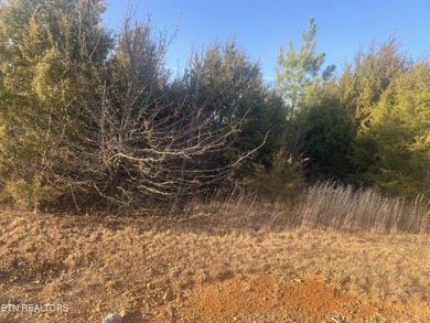 Large level lot in the Tellico Village Community of Kahite. Golf on Tellico Village -The Links At Kahite Golf Course in Tennessee - for sale on GolfHomes.com, golf home, golf lot
