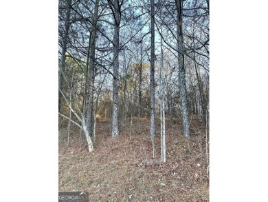 Build your dream home on this .53 acre vacant wooded lot with on Meadow Lakes Golf Course in Georgia - for sale on GolfHomes.com, golf home, golf lot