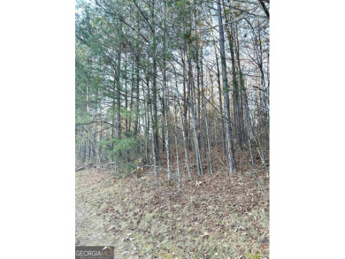 Build your dream home on this .53 acre vacant wooded lot with on Meadow Lakes Golf Course in Georgia - for sale on GolfHomes.com, golf home, golf lot