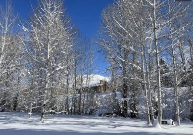 Quiet unit on the back side of Bldg ''N'' close to Trail Creek - on Sun Valley Resort in Idaho - for sale on GolfHomes.com, golf home, golf lot