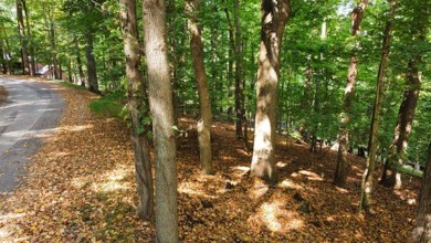 Double lot wooded property in Hocking Hills near the entrance in on Hide-A-Way Hills Golf Club in Ohio - for sale on GolfHomes.com, golf home, golf lot