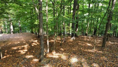 Double lot wooded property in Hocking Hills near the entrance in on Hide-A-Way Hills Golf Club in Ohio - for sale on GolfHomes.com, golf home, golf lot