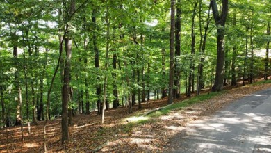 Double lot wooded property in Hocking Hills near the entrance in on Hide-A-Way Hills Golf Club in Ohio - for sale on GolfHomes.com, golf home, golf lot