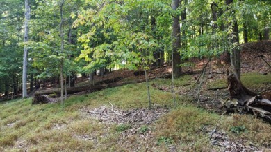 Double lot wooded property in Hocking Hills near the entrance in on Hide-A-Way Hills Golf Club in Ohio - for sale on GolfHomes.com, golf home, golf lot