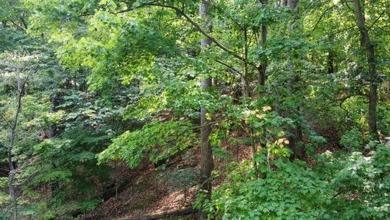 Double lot wooded property in Hocking Hills near the entrance in on Hide-A-Way Hills Golf Club in Ohio - for sale on GolfHomes.com, golf home, golf lot